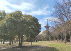 花博記念公園鶴見緑地